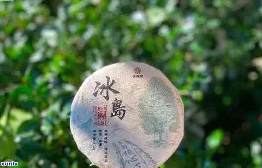 冰岛茶好不好喝，探索冰岛茶的魅力：口感如何？值得一试吗？