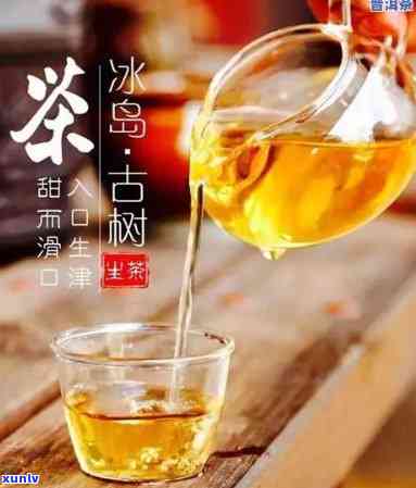 勐库冰岛千年古树茶厂：怎么样？价格、茶叶品质全解析！