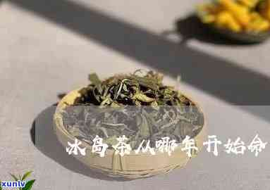 冰岛茶是哪一年开始出名的，揭示历：冰岛茶是在哪一年开始走红的？