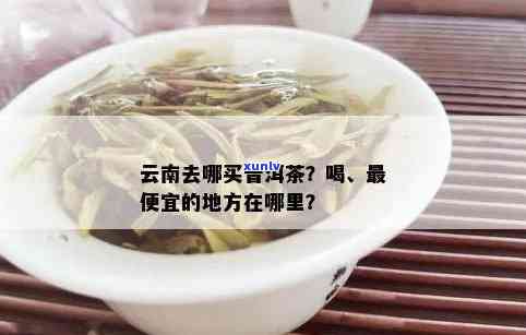 云南哪里的茶叶便宜好喝，寻找性价比高的茶饮？云南这些地方的茶叶值得你试试！