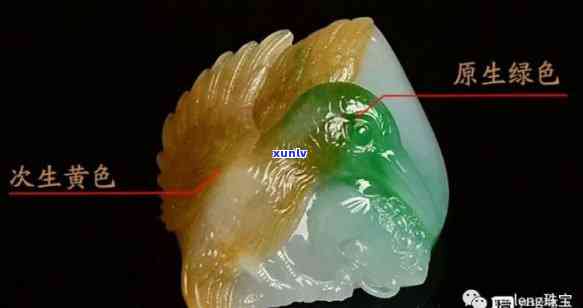 黄嘴翡翠是什么-黄嘴翡翠是什么颜色的
