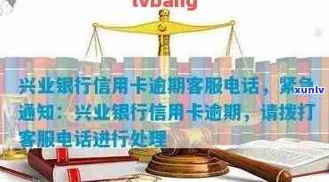 兴业银行查询逾期记录官网，【兴业银行】查询逾期记录官方入口，轻松熟悉个人信用状况