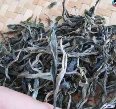 800年冰岛古树茶价格，探究千年历：800年冰岛古树茶的价格与价值