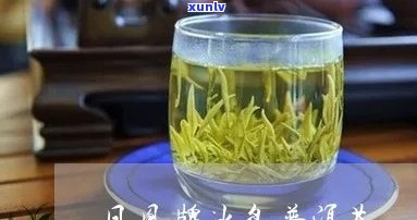 凤牌冰岛普洱茶，品尝冰岛风情：试喝凤牌冰岛普洱茶