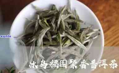 冰岛古树茶福园聚香-古茶源茶厂冰岛古树茶