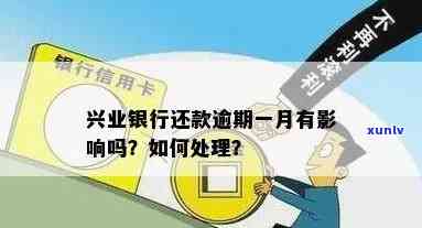 湖北兴业银行逾期解决流程详解：步骤、时间及作用