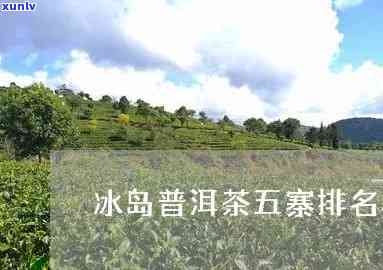 冰岛五寨古树茶排名-冰岛五寨古树茶排名第几