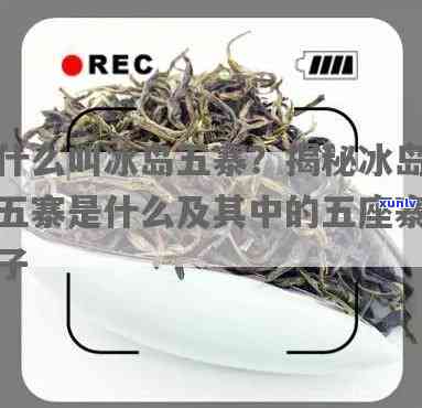 冰岛五寨茶是哪几款产品，揭秘冰岛五寨茶：究竟包含哪几款产品？