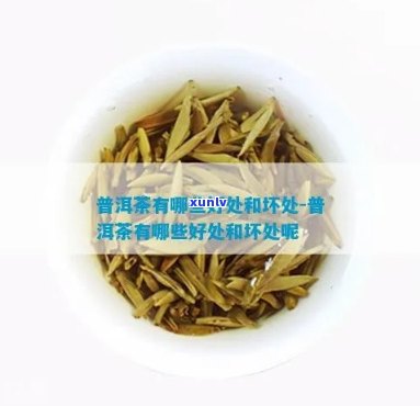 腾普茶叶有什么好处和坏处，探讨腾普茶叶的利弊：它有哪些好处和坏处？