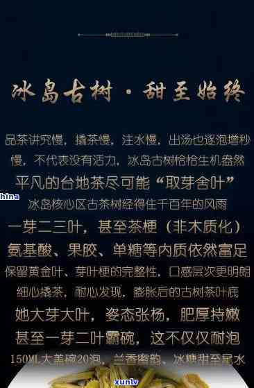 冰岛古树茶王价格表图片全览：价格、口感特点一网打尽！