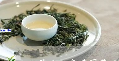 冰岛茶与勐海茶的区别，探秘冰岛茶与勐海茶的差异：一次味觉的旅行