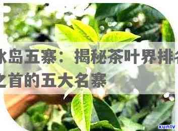 冰岛五寨茶排名，探秘世界茶源：冰岛五寨茶的排名与评价