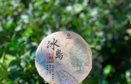 冰岛古树茶是什么品种？了解其来源、口感特点与功效作用