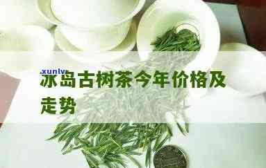 冰岛糯古树茶价格，探究冰岛糯古树茶的价格走势与市场行情