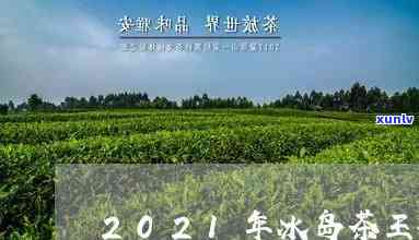 2021冰岛茶王拍出价格，2021年冰岛茶王以高价成交，拍卖创录！