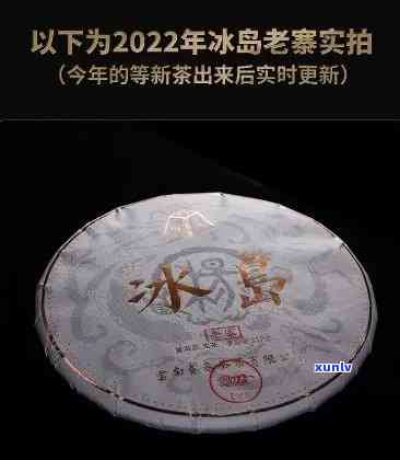 冰岛古树茶最新市场价格：2023年一斤价格是多少？