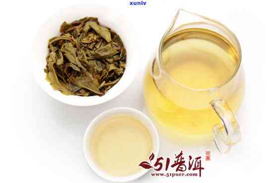 凝香茶叶古普凝香茶-凝香普洱茶价格