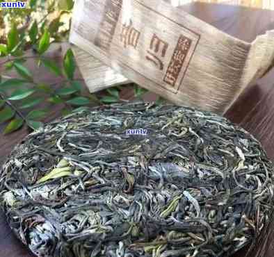 冰岛茶：一种独特的茶类，它究竟是什么？