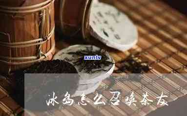 冰岛是泡功夫茶的吗-冰岛是泡功夫茶的吗为什么