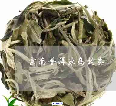 南糯山的茶是冰岛吗-南糯山的茶是冰岛吗还是普洱