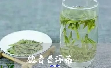 晋德茶叶与百年普茶叶区别，探究晋德茶叶与百年普茶叶的不同之处