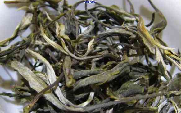 临沧十大名茶冰岛茶-临沧冰岛茶图片