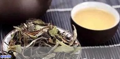 怎么看冰岛茶的好环-冰岛茶怎么看出好坏