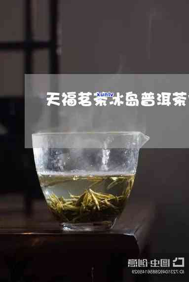 天福茗茶的冰岛怎么样，探秘天福茗茶的冰岛系列，口感如何？