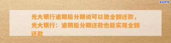 光大银行逾期后分期：最新政策与还款方法全解析