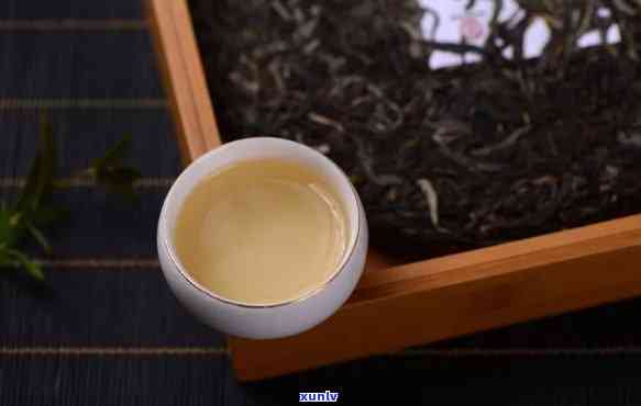 冰岛茶：可以煮着喝吗？如何正确冲泡及保存，包括熟茶选