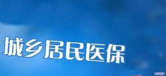 上海城乡居民医保补缴，上海发布城乡居民医保补缴政策，参保人可及时续保