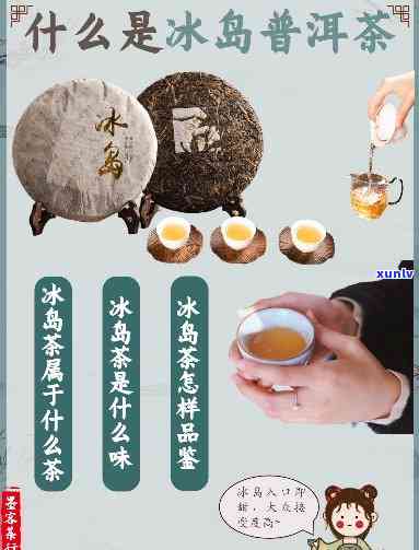 冰岛茶怎么样靠谱吗-冰岛茶怎么样?