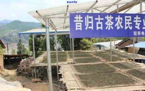 中茶六山冰岛怎么样-中茶六山凤庆茶叶普洱茶价格