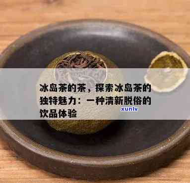 如何成为高端老班章普洱茶的 *** 商？条件及优势分析