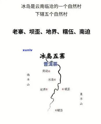 2020年冰岛五寨古树茶价格表及图片大全