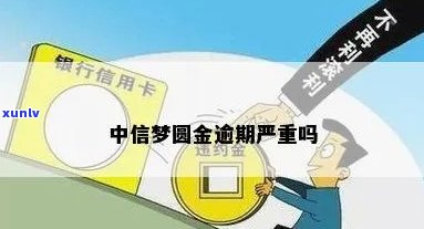 中信圆梦金还一天，中信圆梦金还款期：一天的结果与解决方案