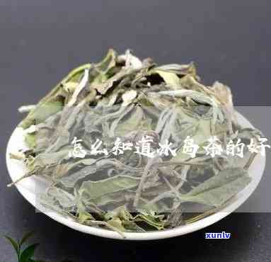 好的冰岛茶是什么样-好的冰岛茶是什么样的