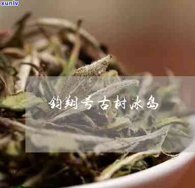 钧翔号冰岛茶怎么样-钧翔号冰岛茶旗舰店