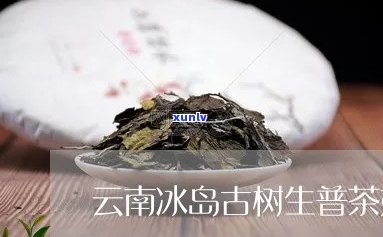 冰岛古树生茶云华普-冰岛古树生茶价格