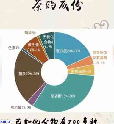 先生茶叶是什么茶叶？、成分与品质全解析