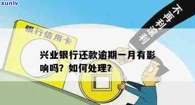 兴业银行还款逾期1天怎么办？作用及解决  