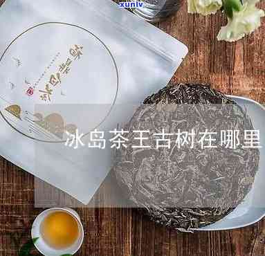 王家园冰岛古树茶-冰岛王家园这个茶好不好