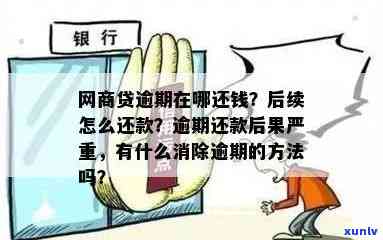 网商贷逾期会去农村吗怎么办，网商贷逾期：是否真的会被强制送回农村？解决方案全解析