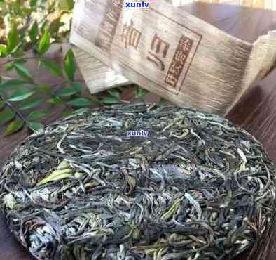 冰岛茶：年份越久越好喝吗？探究茶叶陈化效果