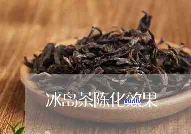 冰岛茶：年份越久越好喝吗？探究茶叶陈化效果