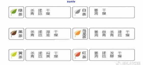 茶叶都有哪些种类？从名称到功效全知道！