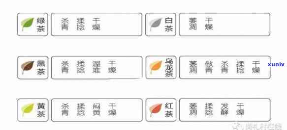 茶叶一共有多少种类？从名称、品种到总数全面解析