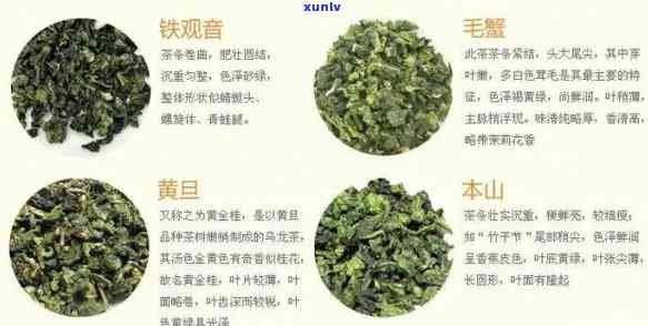 各种茶叶的功效大全-各种茶叶的功效大全 收好了