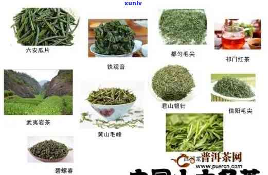 茶叶的种类怎么区分-茶叶的种类怎么区分的