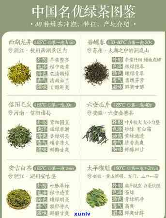 细说茶叶的六大种类：全面解析茶叶品种及其特点